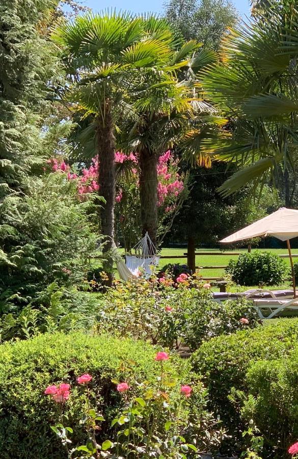 Bed & Breakfast ,Casa De Campo San Esteban,Linares Miraflores Εξωτερικό φωτογραφία