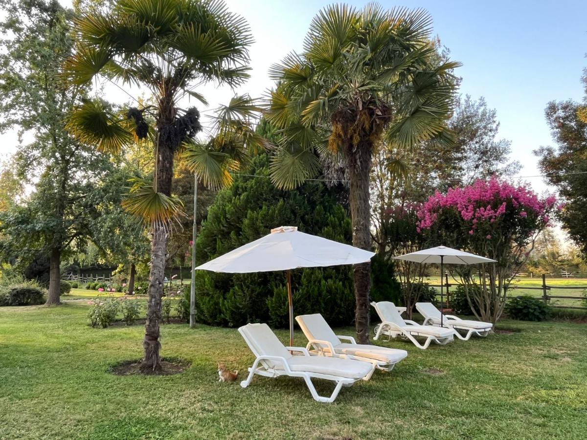 Bed & Breakfast ,Casa De Campo San Esteban,Linares Miraflores Εξωτερικό φωτογραφία